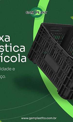 caixas plásticas para laticínios caixas plásticas para laticínios