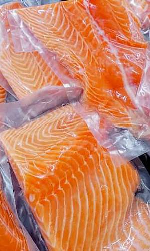 embalagem para peixes congelados embalagem para peixes congelados