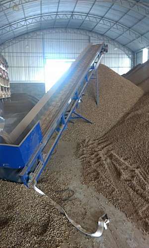 esteira para cama de frango esteira para cama de frango