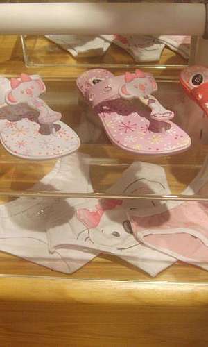 Expositor PDV Expositor PDV