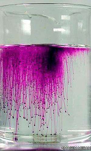 Permanganato de potássio liquido preço Permanganato de potássio liquido preço